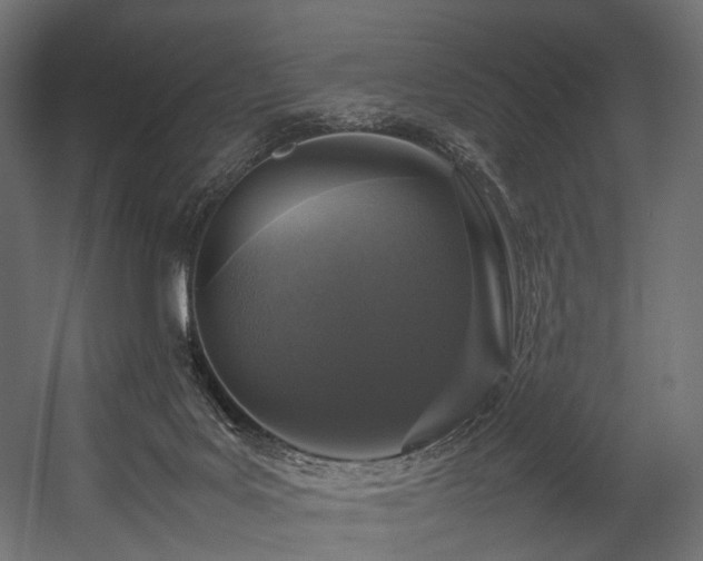 X0000054390027200507291155