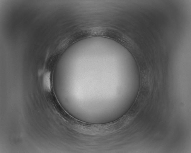 X0000054390028200507291155