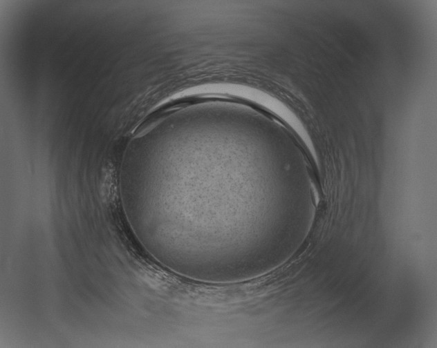 X0000054390029200507291155