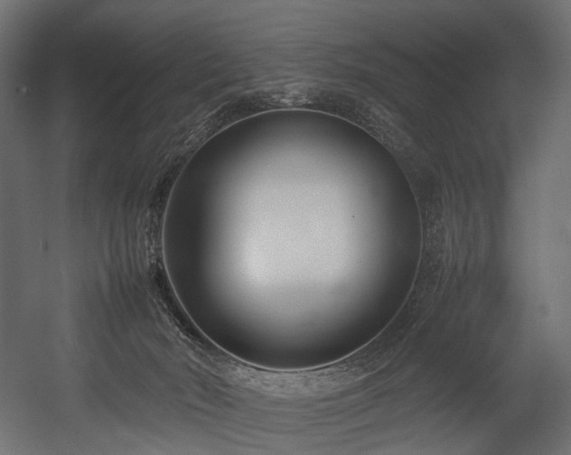 X0000054390030200507291155