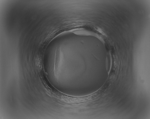X0000054390031200507291155