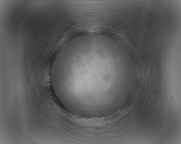 X0000054390032200507291155