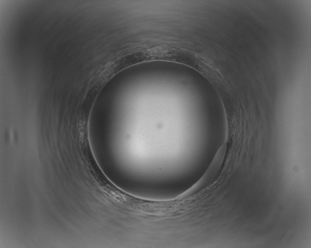 X0000054390033200507291155