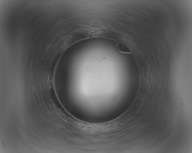 X0000054390034200507291155