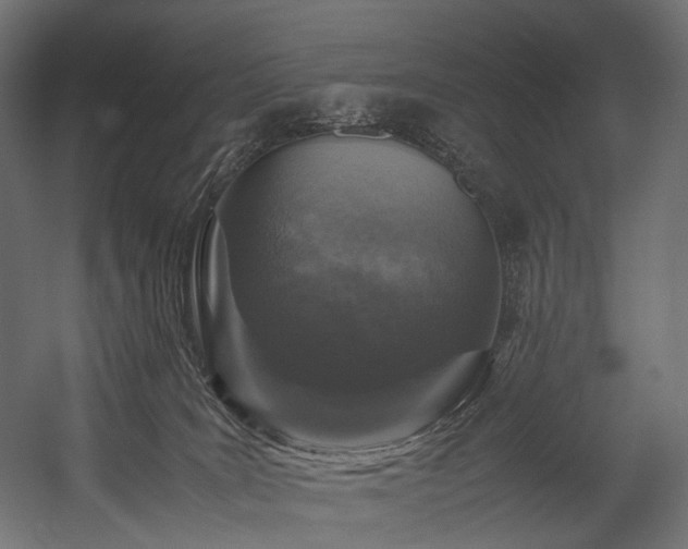 X0000054390035200507291155