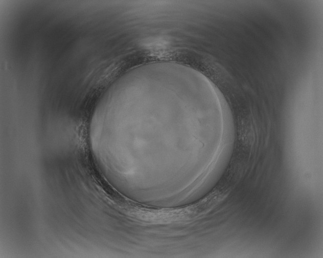 X0000054390036200507291155