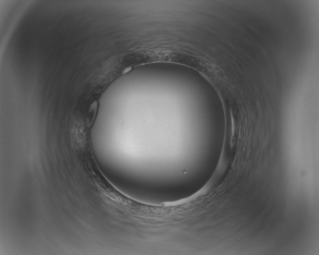 X0000054390037200507291155