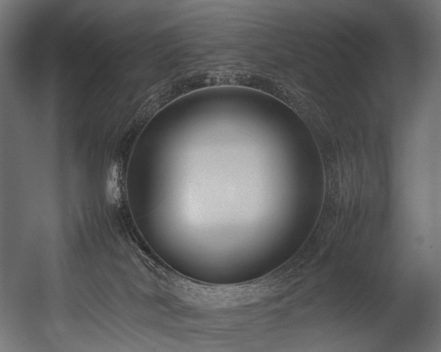 X0000054390038200507291155