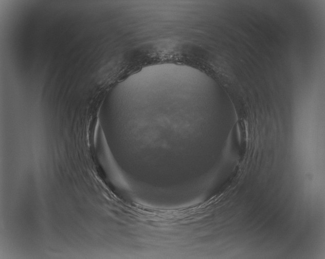 X0000054390039200507291155