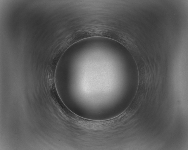 X0000054390040200507291155