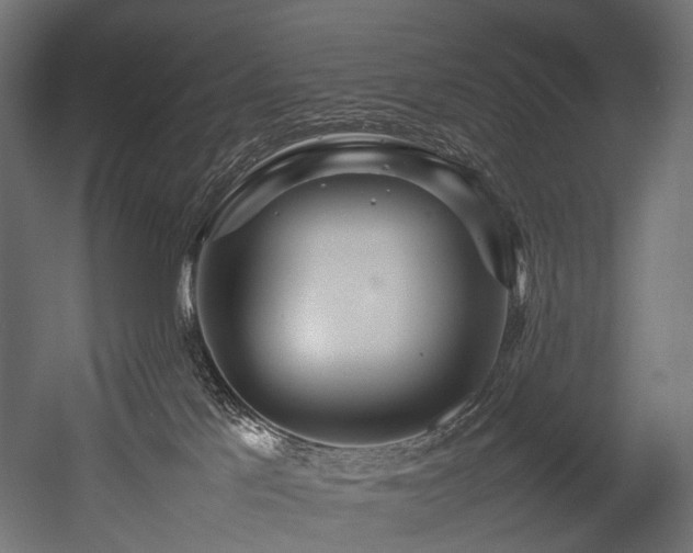 X0000054390041200507291155