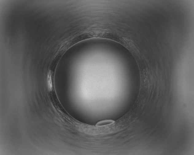 X0000054390042200507291155