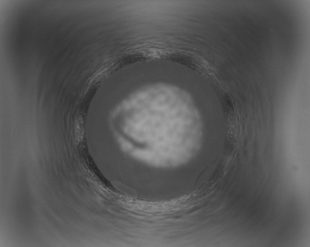 X0000054390043200507291155