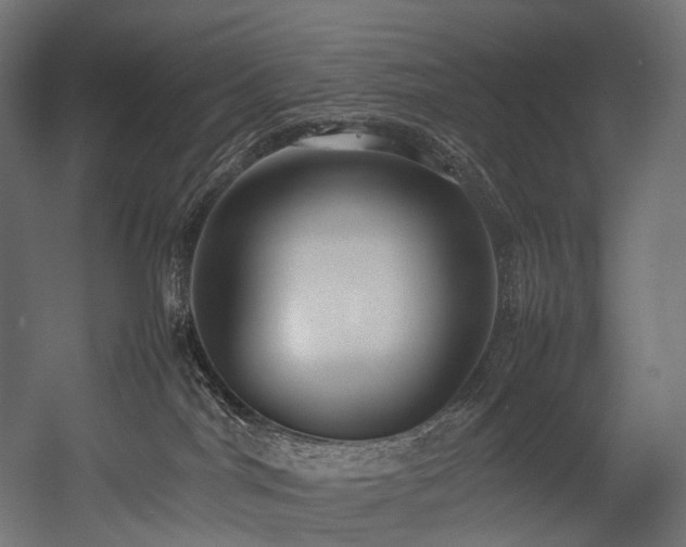 X0000054390044200507291155