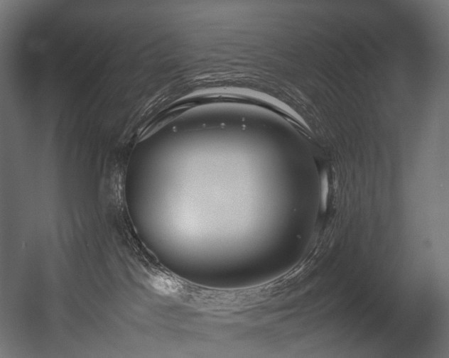 X0000054390045200507291155