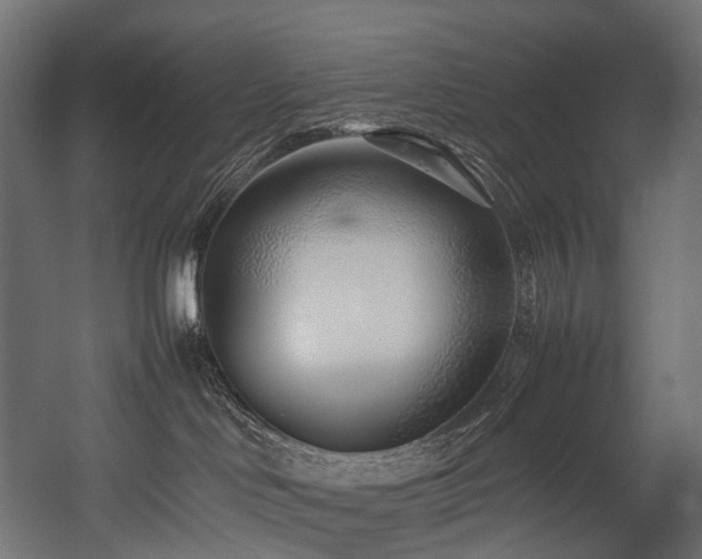 X0000054390046200507291155