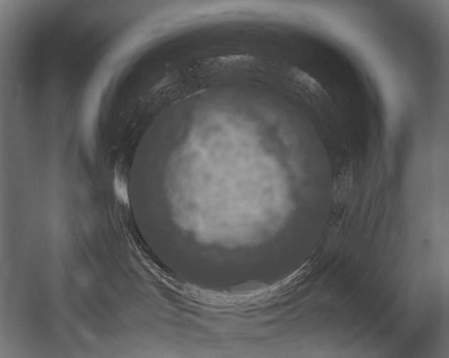 X0000054390047200507291155