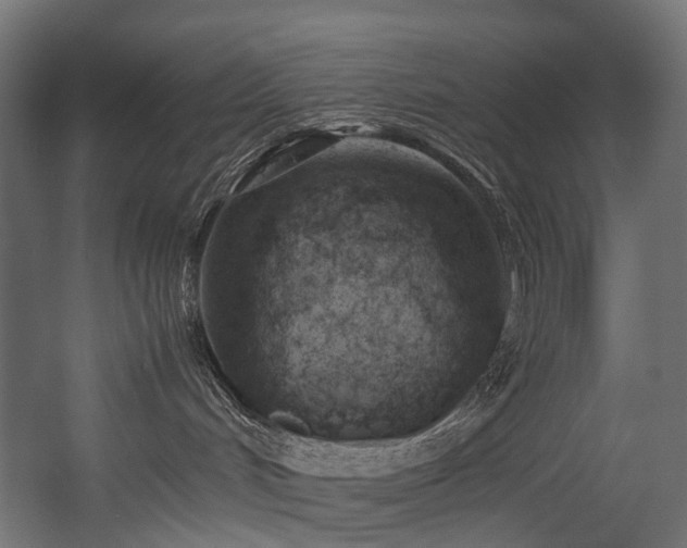 X0000054390048200507291155