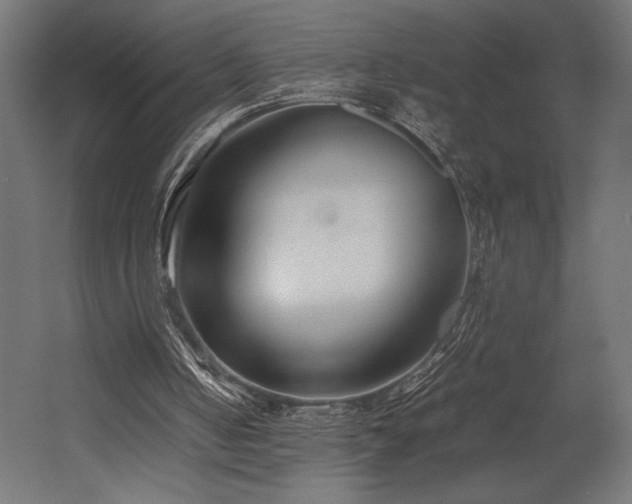 X0000054390050200507291154