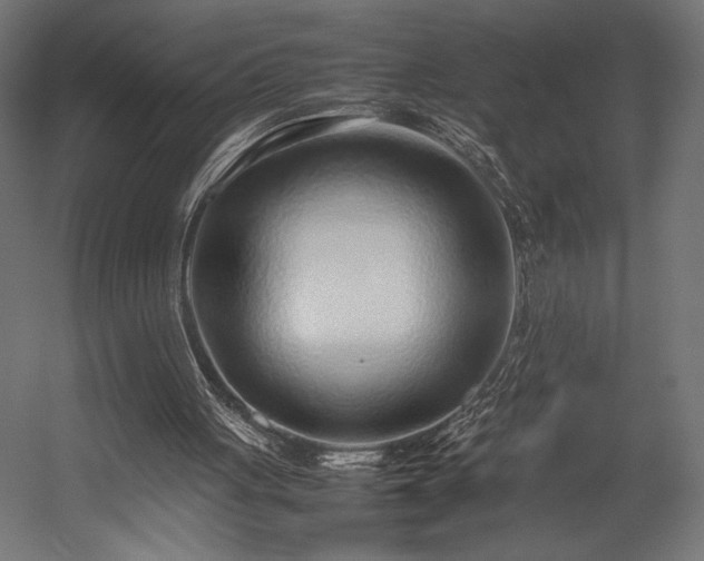 X0000054390051200507291154