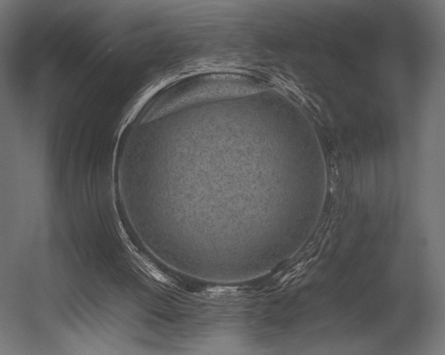 X0000054390052200507291154
