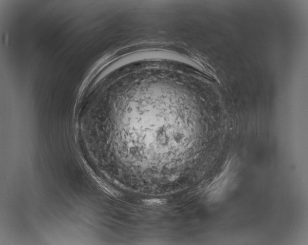 X0000054390053200507291154