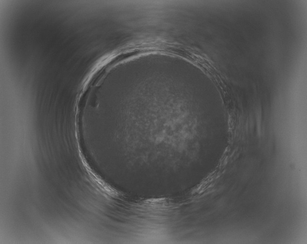 X0000054390054200507291154