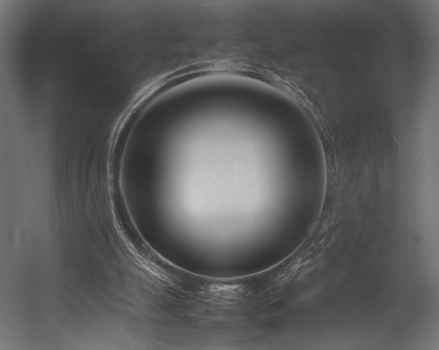 X0000054390055200507291154