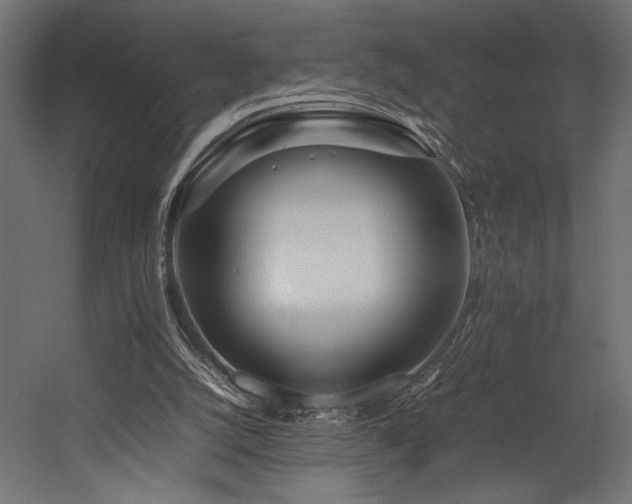 X0000054390056200507291154