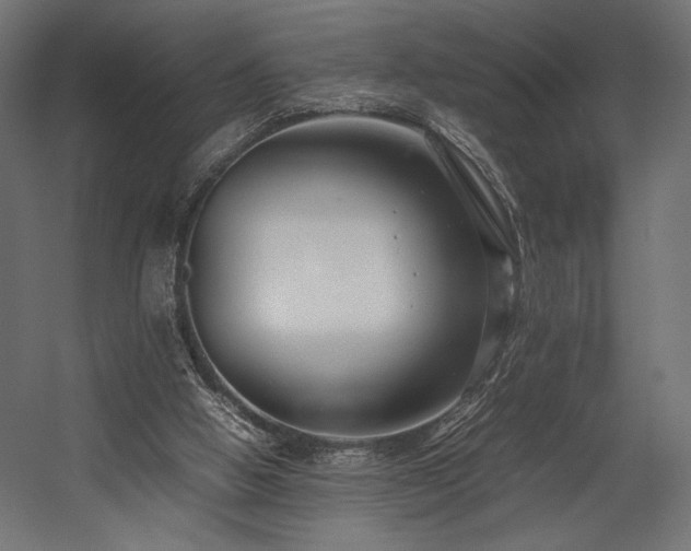 X0000054390058200507291154