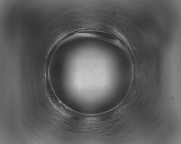 X0000054390059200507291154