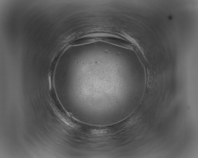 X0000054390061200507291154
