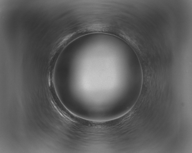 X0000054390062200507291154