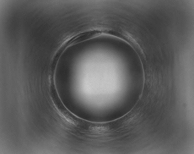 X0000054390063200507291154