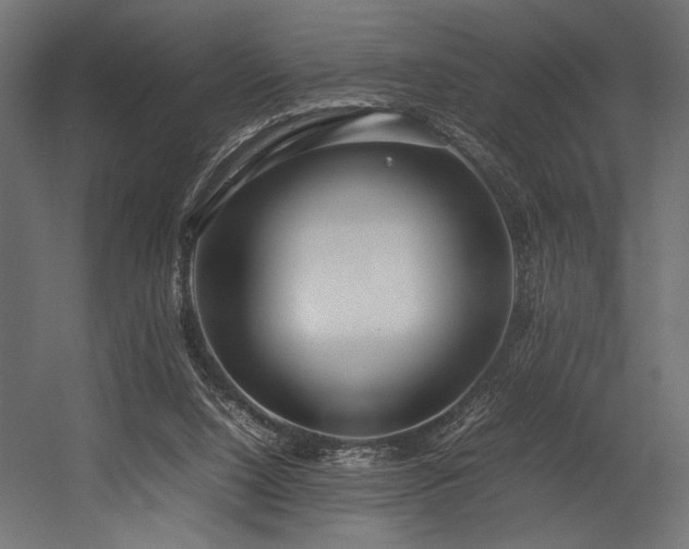 X0000054390064200507291154