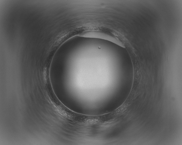X0000054390066200507291154