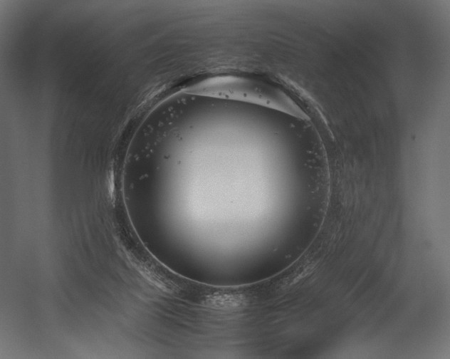 X0000054390067200507291154