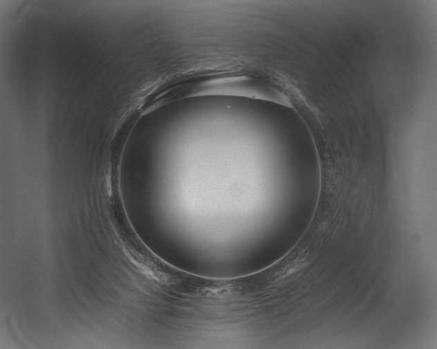 X0000054390068200507291154
