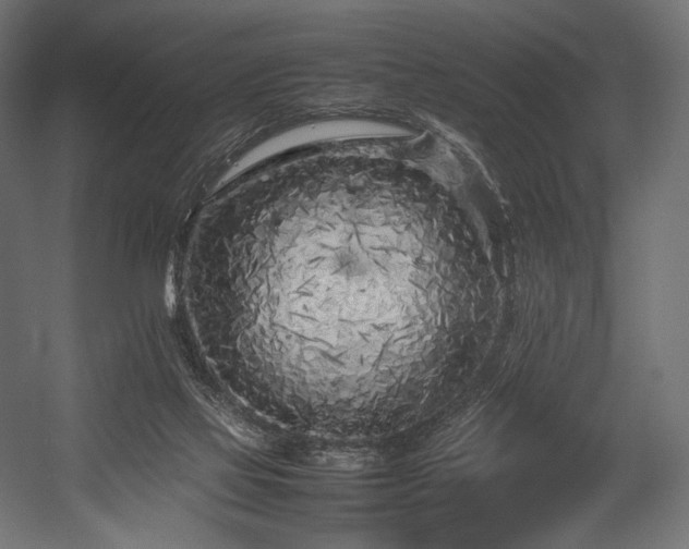 X0000054390069200507291154