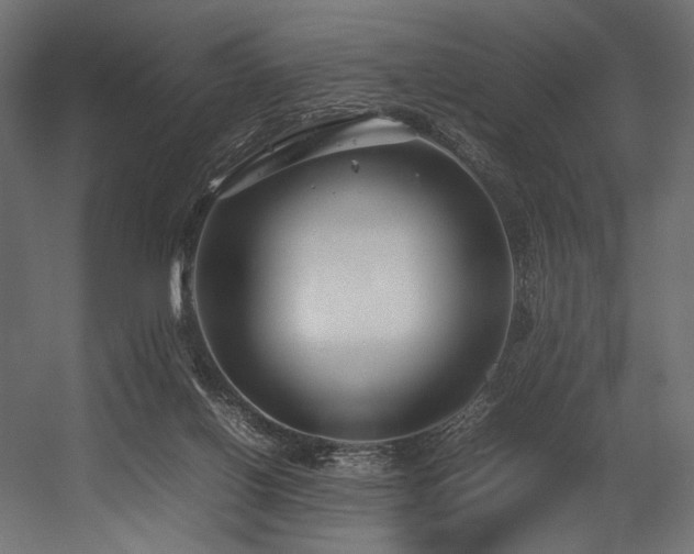 X0000054390070200507291154