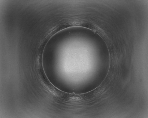 X0000054390071200507291154