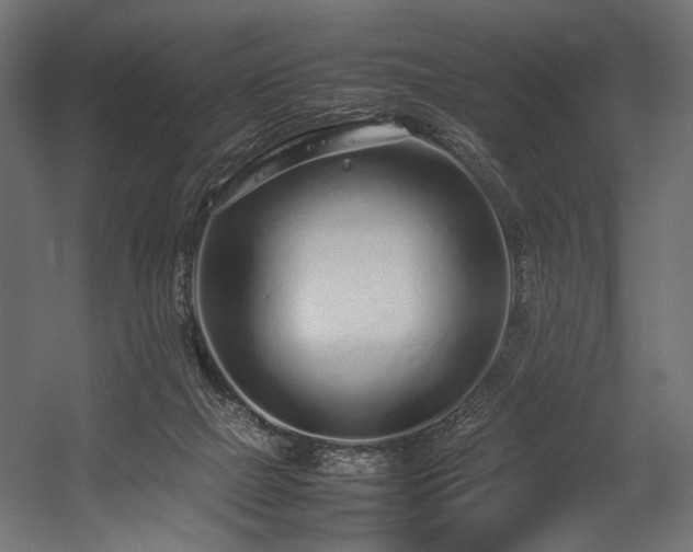 X0000054390073200507291154