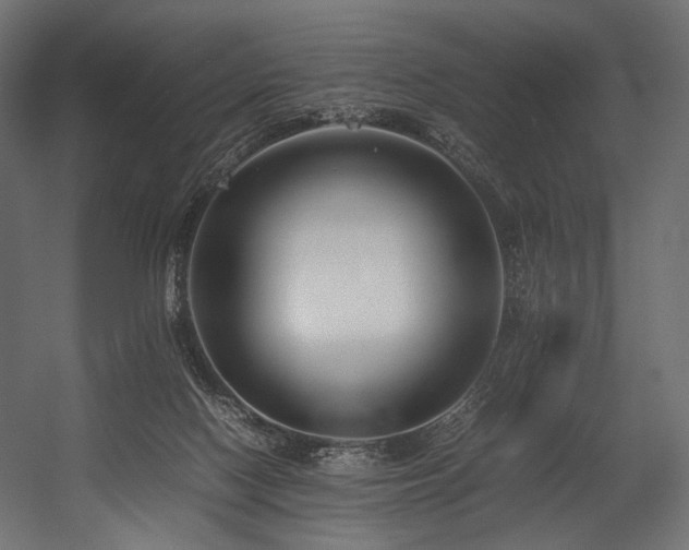 X0000054390074200507291155