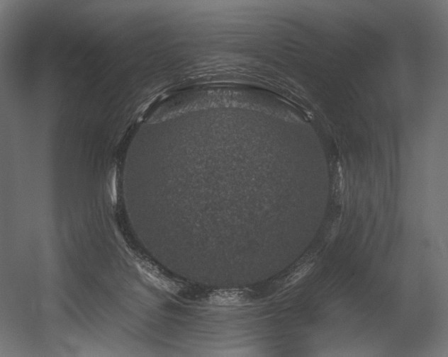 X0000054390076200507291155