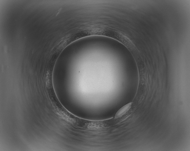 X0000054390077200507291155