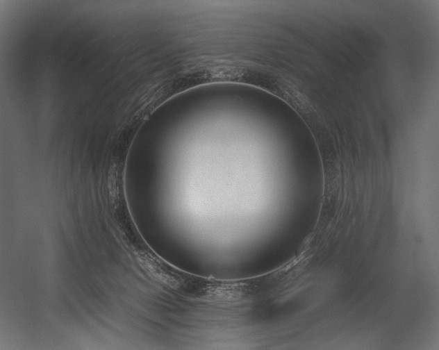 X0000054390078200507291155
