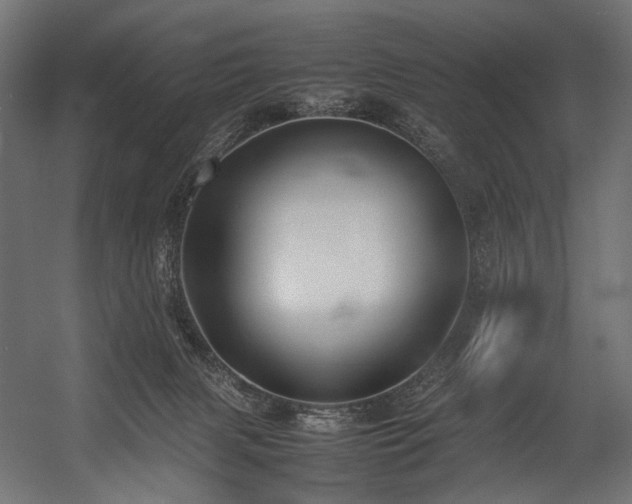 X0000054390079200507291155