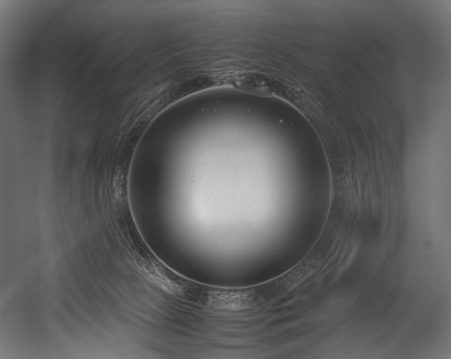 X0000054390081200507291155
