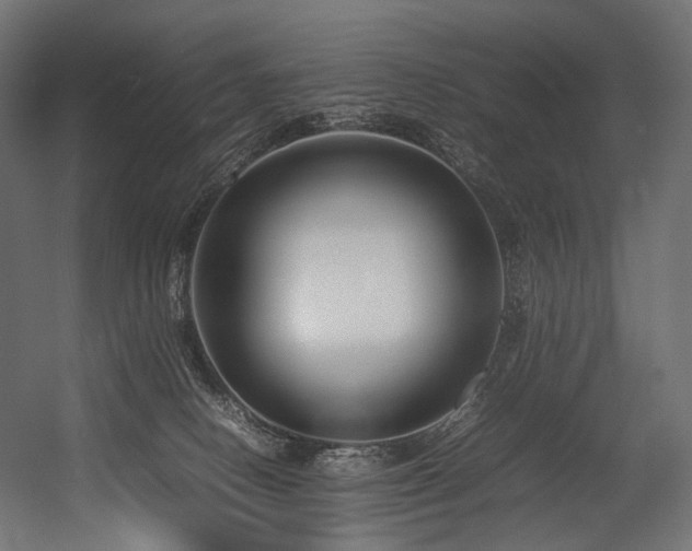 X0000054390082200507291155
