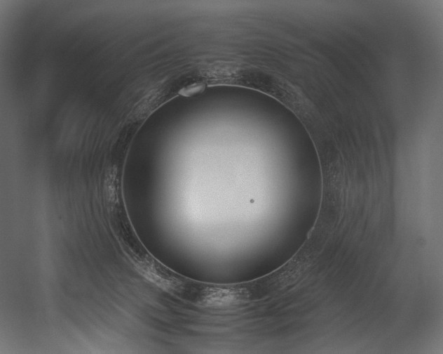 X0000054390083200507291155